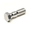 Spiegler Stainless Steel Double Banjo Bolt